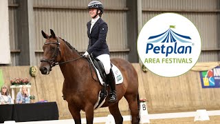 BD PETPLAN SUMMER AREA FESTIVAL 24  NOVICE amp FREESTYLE  Adventures of Megatron  Equestrian Vlog [upl. by Annohsat115]