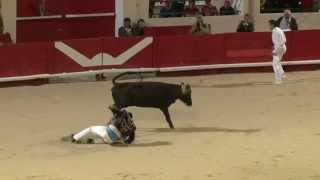 Course landaise  Alès Feria de lAscension 2012 [upl. by Slack74]