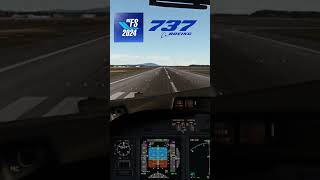 Flight Simulator 2024 Boeing 737 Landing Cockpit View fs2024 msfs [upl. by Ttayw]