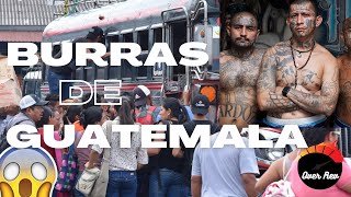 todo sobre los famosos buses de Guatemala [upl. by Burman]