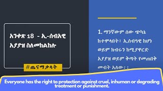 Federal Democratic Republic of Ethiopia FDRE Constitution [upl. by Aicnatsnoc]