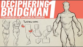 DECIPHERING BRIDGMANS ANATOMY 1 [upl. by Clywd]