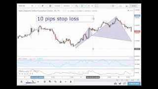 FOREX TRADING STOP LOSS for ADVANCEDHARMONY Patterns [upl. by Dennison]