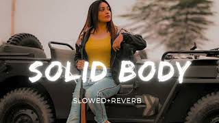 Solid Body Song  Raju Punjabi  SlowedReverb   🎶 [upl. by Jakoba]