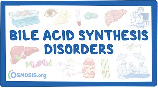 Bile synthesis disorders NORD [upl. by Careaga799]