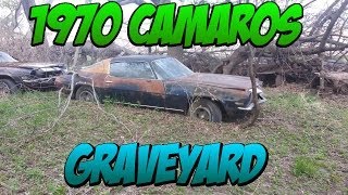 1970s Camaro Grave Yard 30 Camaros Firebirds Trans Ams Etc [upl. by Nired]