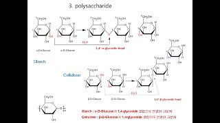 1311 Glucose 및 다당류의 구조 [upl. by Hanshaw]