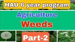 CCS HAU 6year online classesHau 6 year preparation 2021Weeds2PAU preparation [upl. by Seira]