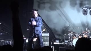 Peter Gabriel  Digging in the dirt  Live 2014 au Zénith de Toulouse [upl. by Eidurt]