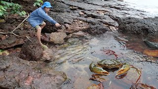 Giant King Crab Catch and Cook At the Beach  Giant Sea Crab Cooking with Big Wave  Wilderness Food [upl. by Seabury]