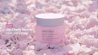 Innisfree Jeju Cherry Blossom Jelly Cream 50ml [upl. by Erek43]