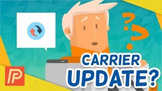 Carrier Settings Update On iPhone What It Means amp How To Do It [upl. by Eeryt485]