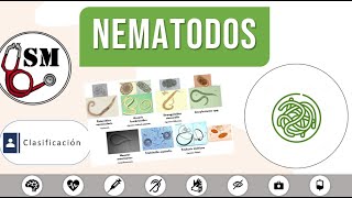 Clasificacion NematodosParasitos【Simula en Med】 enarm [upl. by Assetak990]