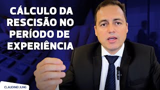 Como saber o VALOR da RESCISÃO no Contrato de EXPERIÊNCIA [upl. by Narik]