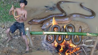 Primitive Wildlife  Cacth eels and cooking  Eating delicious [upl. by Eylsel]