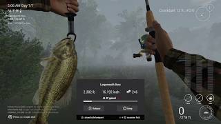 How To Catch Trophy Large Mouth Bass Easy  Neherrin River North Carolina  Tutorial 3 [upl. by Wheeler]