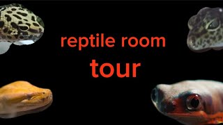 reptile room tour [upl. by Rey930]