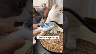 Ultimate grooming tool for cats 😻✨ [upl. by Nivri]