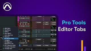 Pro Tools Detachable Tabs [upl. by Nnaegroeg]