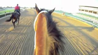 Havre de Grace Helmet Cam on Larry Jones at Breeders Cup Classic EquiSight in HD [upl. by Alak737]