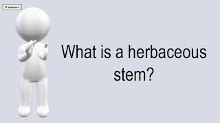 What Is A Herbaceous Stem [upl. by Thury]