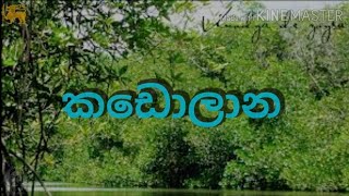 කඩොලාන  Kadolana [upl. by Ogram]