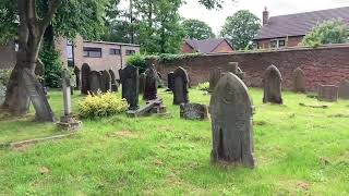 Graveyard and Ragwort Lore Summer Vlog [upl. by Eimat312]