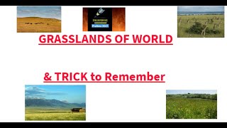 Grasslands  Grassland of the world  Prairies Pampas  Grassland ecosystem  Grasslands Tricks [upl. by Menashem]