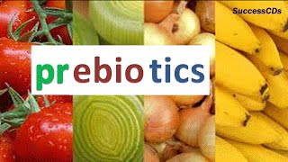 Prebiotics Foods  Prebiotics are good for Digestive Health [upl. by Atilrep]