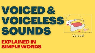 Voiced and Voiceless Sounds Phonetics Consonants [upl. by Chappie]