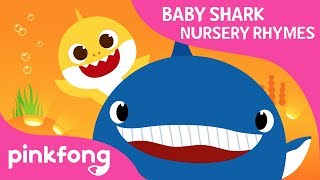 Where Are Sea Animals  Baby Shark Nursery Rhyme  Pinkfong Songs for Children [upl. by Nylirrehs602]