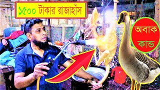 Bangladeshi Haser Mangso Bhuna  Hacer mangsho vuna recipe  হাঁসের মাংস রান্না করার গোপন রেসিপি [upl. by Anod]