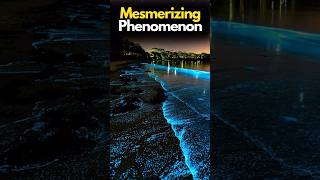 Oceans Mesmerizing Phenomenon Comes Alive at Night shorts [upl. by Binetta593]