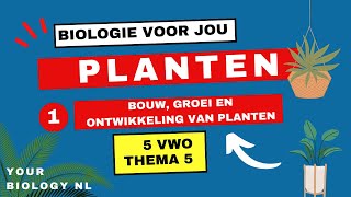 5 vwo  Planten  1  Bouw groei en ontwikkeling van planten [upl. by Armahs]