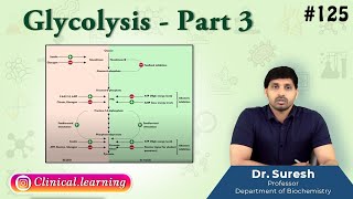 125 Glycolysis  Part 3 [upl. by Mallin]