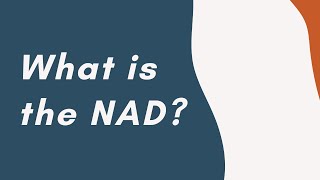 What is the NAD [upl. by Lime]