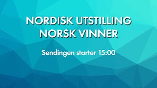 NKK Sandefjord 2024  Nordisk utstilling Norsk vinner [upl. by Ydok281]