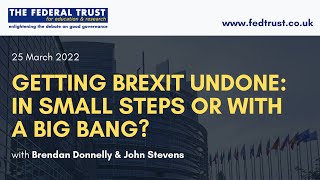 Getting Brexit Undone In Small Steps or With a Big Bang [upl. by Anilrac28]