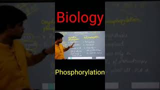 Phosphorylation biologydifference between photo phosphorylation and oxydative phosphorylation [upl. by Lisette]