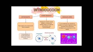 Estrés oxidativo antioxidantes y enfermedad por Anayeli García [upl. by Hteik187]