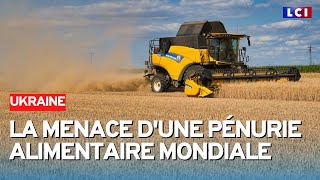 Bientôt une pénurie alimentaire mondiale [upl. by Deina438]