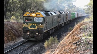 G539523525 on 7901V at Bealiba Bank 240824 [upl. by Eirrod]