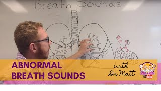 Abnormal Breath Sounds  Respiratory System [upl. by Htiduy]