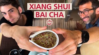 Xiang Shui Bai Cha [upl. by Etteve585]