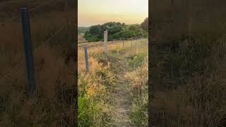 Hiddensee evening walk travel vacation [upl. by Imelda195]