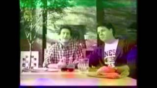 First gay TV commercial IKEA ad 1994  Out Now Business Class  Better LGBT [upl. by Leinoto]