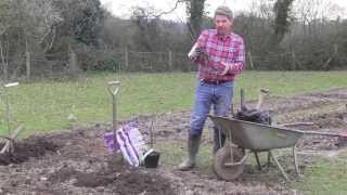 How to plant red or white currants [upl. by Werna347]