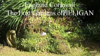 The Lost Gardens of Heligan Cornwall England willow tree garden Lowarth Helygen Botanischer Garten [upl. by Wehrle]