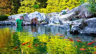 Making a Serene Waterfalls Mini Ecosystem Lake Feeder Goldfish Sanctuary [upl. by Savadove]