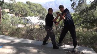 Shifu Kanishka demonstrating Jeet Kune Do [upl. by Ainesell]